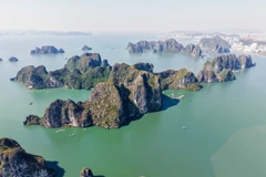 La bahía de Ha Long cuenta con mil 969 islas, en su mayoría de piedra caliza (Foto: VNA)