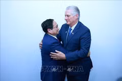 El primer ministro de Vietnam, Pham Minh Chinh (izquierda), se reúne con el primer secretario del Comité Central del Partido Comunista de Cuba y presidente de la República, Miguel Díaz-Canel Bermúdez (Foto: VNA)