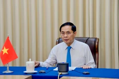 El viceprimer ministro y canciller de Vietnam, Bui Thanh Son (Foto: VNA)