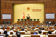 Panorama de la sesión (Foto: VNA)