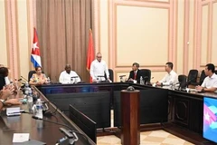 Panorama de la cita (Foto: VNA)