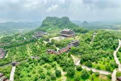 La pagoda Bai Dinh, en la provincia de Ninh Binh, es conocida como la más grande y la que posee más récords en Vietnam en la actualidad. (Foto: VNA)