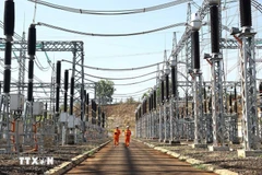 Buró Político emite resolución sobre garantía de seguridad energética nacional