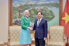 El viceprimer ministro y canciller de Vietnam, Bui Thanh Son, recibe a la embajadora australiana, Gillian Bird. (Foto: VNA)