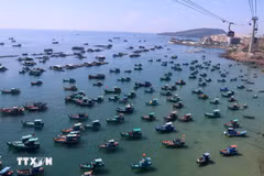 En todo el país, más de 28.000 buques pesqueros han instalado el sistema de monitoreo, lo que representa más del 99% del recuento (Foto: VNA)