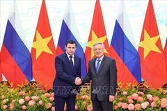 El viceprimer ministro permanente, Nguyen Hoa Binh (derecha), recibe al asesor del Presidente Ruso, Dmitri Mironov. (Foto: VNA)