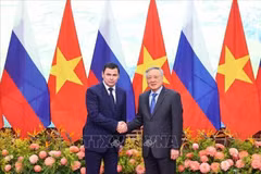 El viceprimer ministro permanente, Nguyen Hoa Binh (derecha), recibe al asesor del Presidente Ruso, Dmitri Mironov. (Foto: VNA)