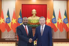 El secretario general del Partido Comunista de Vietnam, To Lam (derecha), recibe al presidente del Partido de la Prosperidad y primer ministro de Etiopía, Abiy Ahmed Ali, en Hanoi el 15 de abril de 2025. (Foto: VNA)