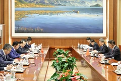 Panorama de la reunión (Foto: VNA)