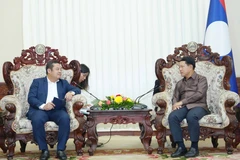El presidente de Vinachem, Phung Quang Hiep (izquierda), se reúne con el viceprimer ministro de Laos, Saleumxay Kommasith (Foto: VNA)