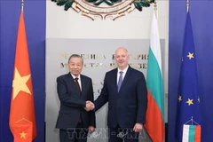 El secretario general del Partido Comunista de Vietnam, To Lam (izquierda), se reúne con el primer ministro de Bulgaria, Rosen Zhelyazkov (Foto: VNA)