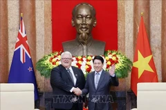 El presidente de Vietnam, Luong Cuong (derecha), recibe al titular de la Cámara de Representantes (Parlamento) de Nueva Zelanda, Gerry Brownlee. (Foto: VNA)