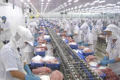 Procesamiento de productos acuáticos para la exportación. (Foto: Vietnam+)