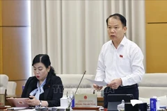 Hoang Thanh Tung, presidente de la Comisión parlamentaria de Derecho y Justicia, interviene en la cita (Foto: VNA)