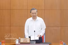 El secretario general del Partido Comunista de Vietnam, To Lam, interviene en la cita (Foto: VNA)