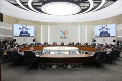 El presidente de Vietnam, Luong Cuong, participa en la Cumbre de Líderes Económicos del APEC (Foto: VNA)