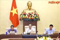El presidente de la Asamblea Nacional de Vietnam, Tran Thanh Man (centro), habla en la reunión (Foto: VNA)