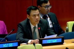 El embajador Dang Hoang Giang, jefe de la misión permanente de Vietnam ante la ONU (Foto: VNA)