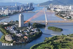 Da Nang apuesta por formar talento para convertirse en un centro financiero internacional