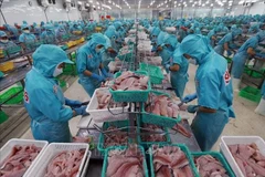 Los productos acuícolas son uno de los principales sectores de exportación con alto crecimiento en los primeros seis meses de 2025 (Foto: VNA)