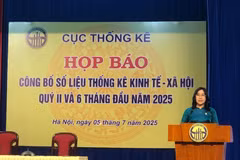 La directora de la Oficina Nacional de Estadísticas, Nguyen Thi Huong, asegura que la situación mundial se ha desarrollado de forma compleja e impredecible durante el primer semestre del año. (Foto: VietnamPlus)