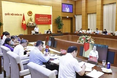 Panorama de la reunión (Foto: VNA)