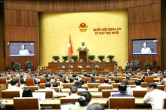 Panorama de la cita (Foto: VNA)