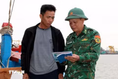 Provincia de Ninh Binh refuerza la lucha contra la pesca ilegal