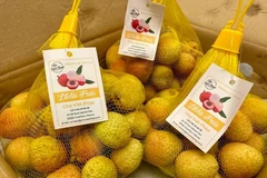 Lichis vietnamitas de la cosecha 2025 llegan al mercado francés