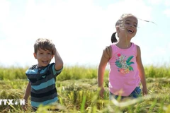 “Semillas de la Felicidad”: Una historia conmovedora sobre la amistad entre Vietnam y Cuba