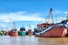 En el puerto pesquero de Ganh Hao, en Ca Mau (Foto: VNA)