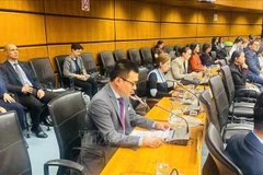 El embajador Vu Le Thai Hoang, representante permanente de Vietnam ante la ONU y otras organizaciones internacionales en Viena (Austria), interviene en la cita (Foto: VNA)