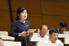 La diputada Nguyen Thi Thu Ha, de la provincia de Quang Ninh (Foto: VNA)