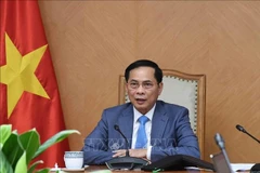 El viceprimer ministro vietnamita Bui Thanh Son (Foto: VNA)