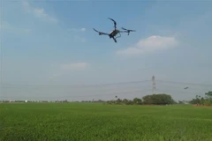 Un dron utilizado para la pulverización de pesticidas en la agricultura (Foto: VNA)