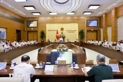 Panorama de la cita (Foto: VNA)