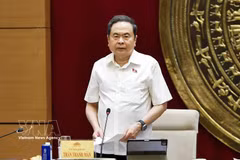 El presidente de la Asamblea Nacional de Vietnam, Tran Thanh Man, interviene en la cita (Foto: VNA)