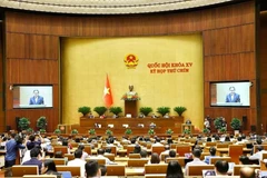 Panorama de la cita (Foto: VNA)