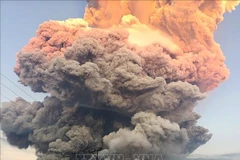 El volcán Lewotobi Laki-Laki en la isla de Flores, Indonesia, entra en erupción el 17 de junio de 2025. (Foto: Xinhua/VNA)
