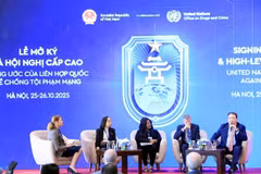 Delegados debaten en la cita (Foto: VNA)