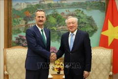 El viceprimer ministro permanente de Vietnam, Nguyen Hoa Binh (derecha), recibe a Haluk Gorgun, presidente de la Agencia de Industria de Defensa de Turquía. (Foto: VNA)