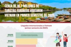 Cerca de 10,7 millones de turistas foráneos visitaron Vietnam en primer semestre de 2025