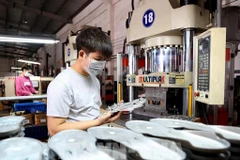 Producción de materiales para el calzado en una empresa con inversión extranjera (Foto: VNA)