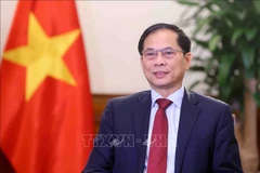 El vicepremier y ministro de Relaciones Exteriores de Vietnam, Bui Thanh Son (Foto: VNA)