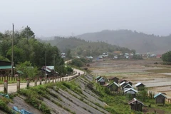 En la comuna de Mang But, provincia central de Quang Ngai (Foto: VNA)