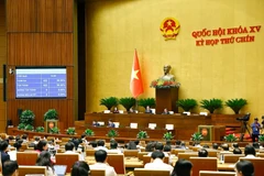 Los delegados votan la resolución para establecer el Consejo Electoral Nacional (Foto: VNA)