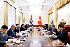 Panorama de la cita (Foto: Ministerio de Relaciones Exteriores de Vietnam)