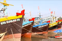 Provincia vietnamita refuerza la supervisión para frenar la pesca ilegal