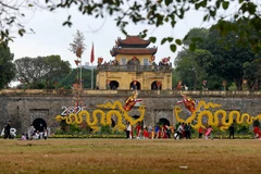 La primera edición del Festival de Cultura Mundial en Hanoi se llevará a cabo del 10 al 12 del corriente mes en la Ciudadela Imperial de Thang Long (Foto: VNA)