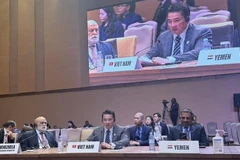 El embajador Pham Hai Anh interviene en la cita (Foto: Ministerio de Relaciones Exteriores de Vietnam)